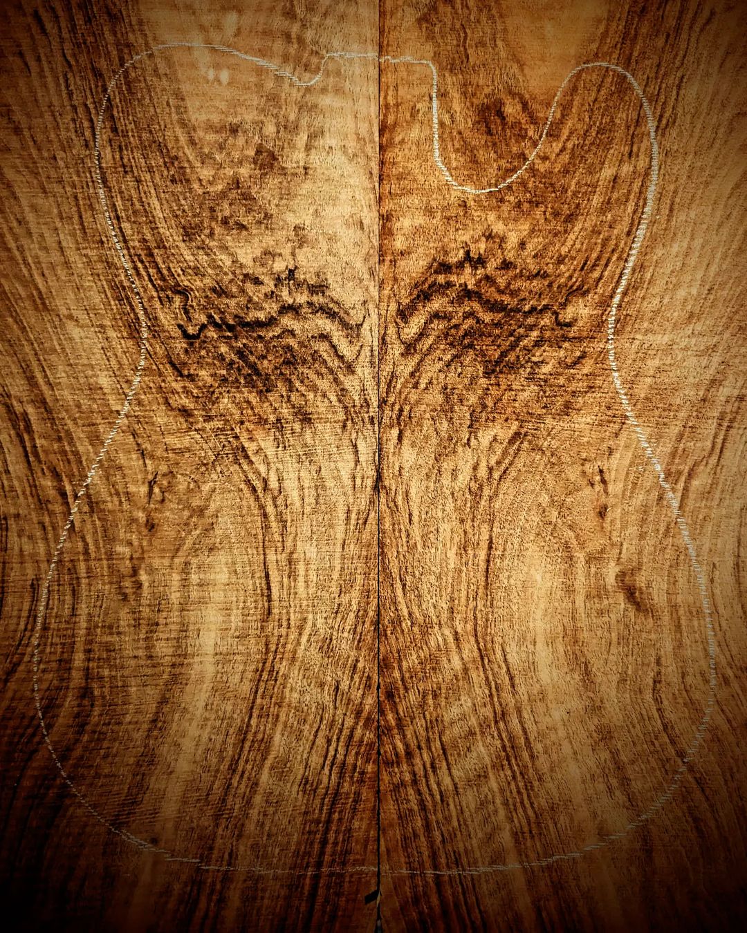 Holly mother of what is good and pure... @conwaytonewoods  has delivered... Can't wait to see this becoming a #xylonguitars #...